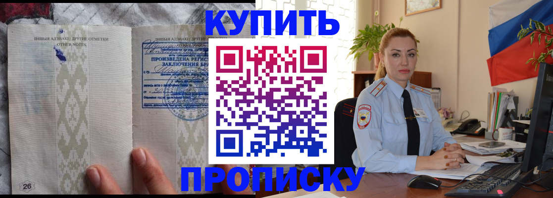 прописка поиск в Березниках